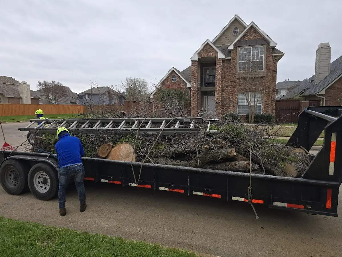 Expert Tree Pest Control with proper safety equipment in Spalding